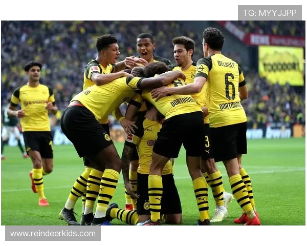 德甲球队广义实力：探讨德甲各球队的实力排名与特点