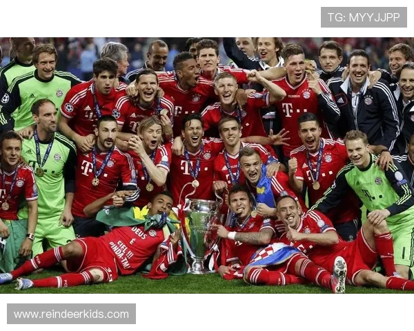 德甲联赛历史上曾经夺冠的球队盘点